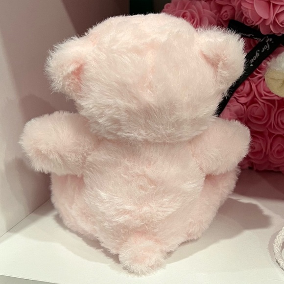 Teddy Bear Soft Fluffy Plush Pink w/ Ribbon Neck Tie - Picture 3 of 7